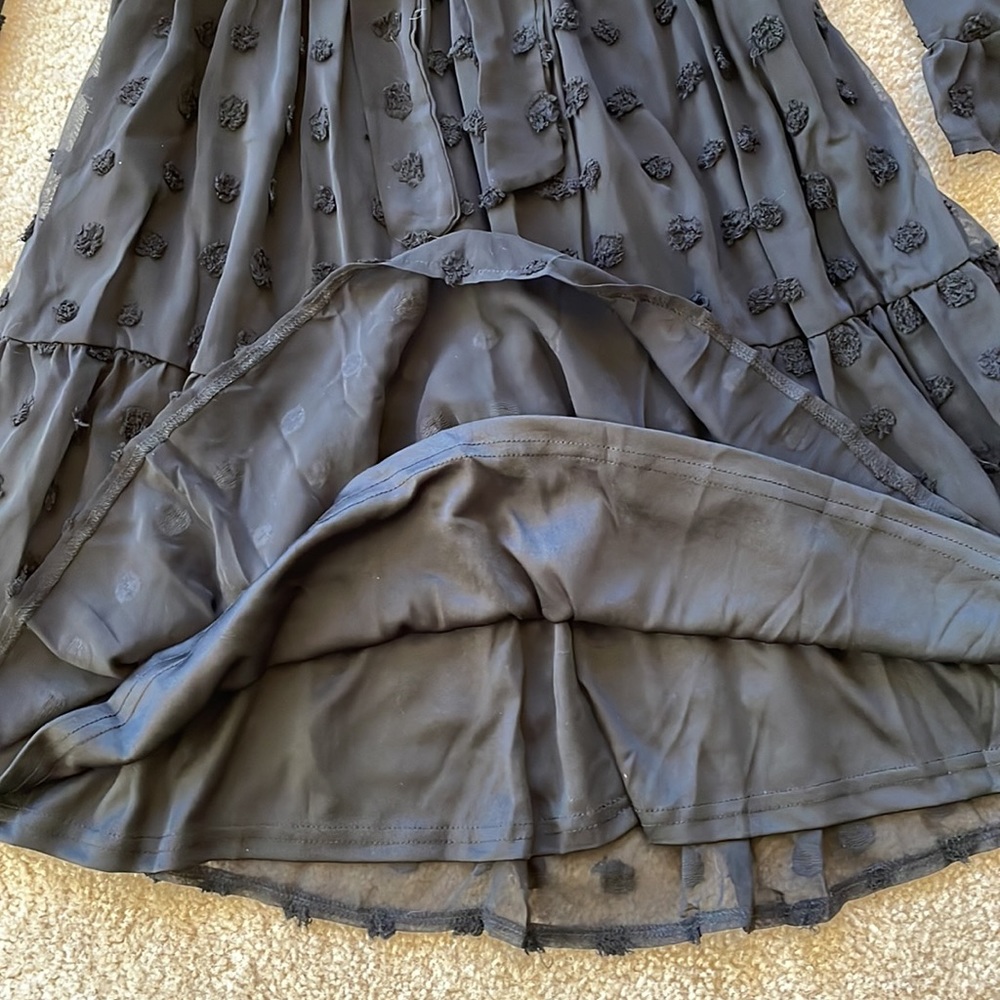 LARGE NWT! Long Sleeves Round Neck  Swiss Dot High Waist Chiffon Casual … - Picture 5 of 13